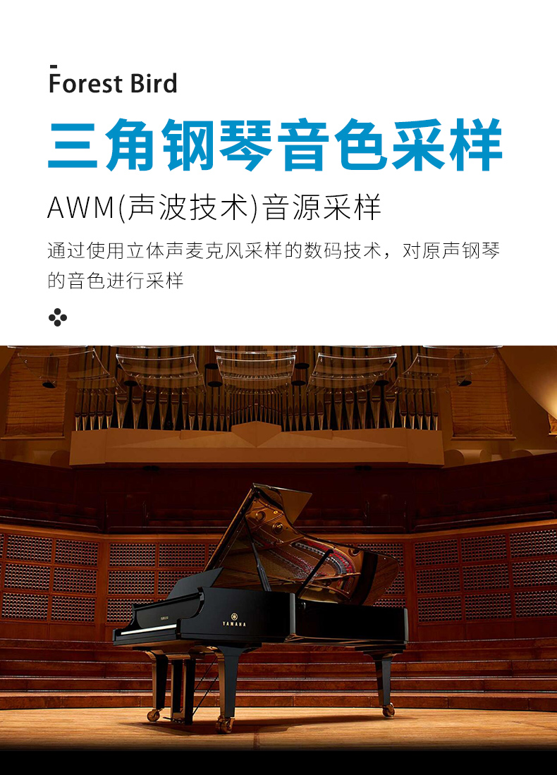 雅马哈电钢琴出租(图3)