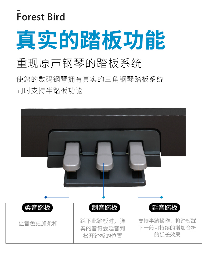 雅马哈电钢琴出租(图12)